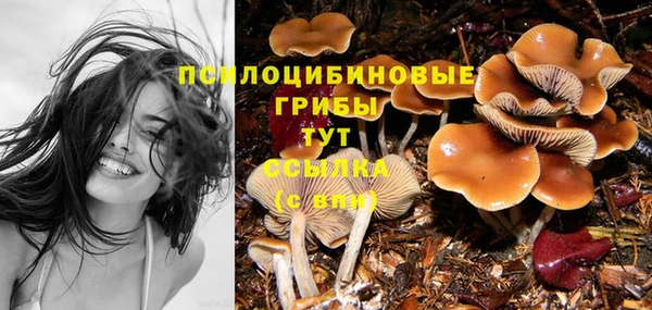 индика Беломорск