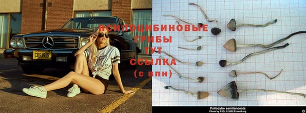кокаин VHQ Белокуриха