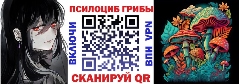 где можно купить наркотик Калуга Галлюциногенные грибы Magic Shrooms