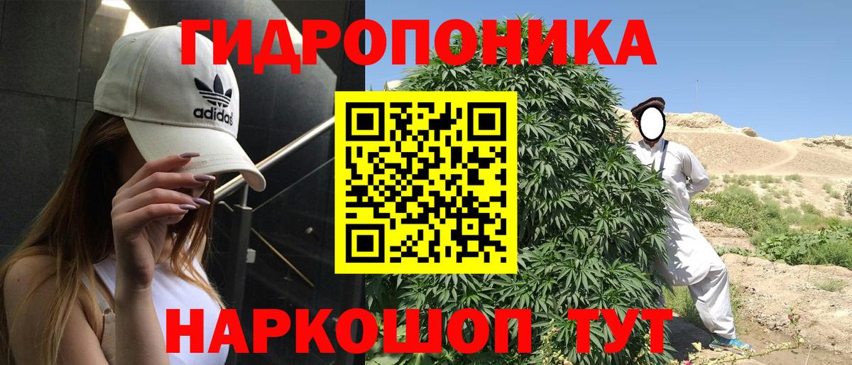 Калуга  Каннабис White Widow  Шишки марихуана конопля  МАРИХУАНА планчик  Вход с VPN 
